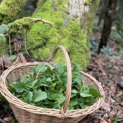 Nettle Quiche with Potato Crust